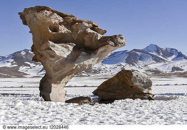 Arbol de piedra im Schnee  Árbol de Piedra  Steinbaum  Siloli-Wüste  Altiplano  Potosi  Grenze zu Chile  Bolivien  Südamerika