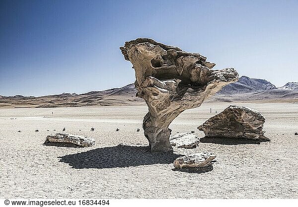 Arbol de Piedra (Steinbaum)  eine lavagekühlte Felsformation in der Siloli-Wüste (Teil der Atacama-Wüste) im Altiplano von Bolivien  Nationalreservat der Andenfauna Eduardo Avaroa