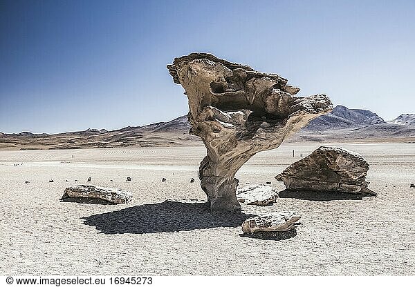 Arbol de Piedra (Steinbaum)  eine lavagekühlte Felsformation in der Siloli-Wüste (Teil der Atacama-Wüste) im Altiplano von Bolivien  Nationalreservat der Andenfauna Eduardo Avaroa