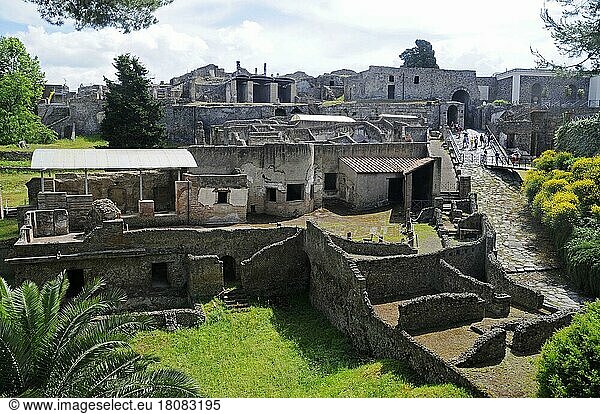 Archäologische Ausgrabungsstätte  Pompeji  Neapel  Kampanien  Italien  Europa