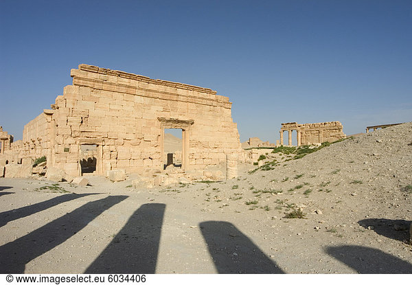 Archäologische Ruinen  Palmyra  UNESCO Weltkulturerbe  Syrien  Naher Osten