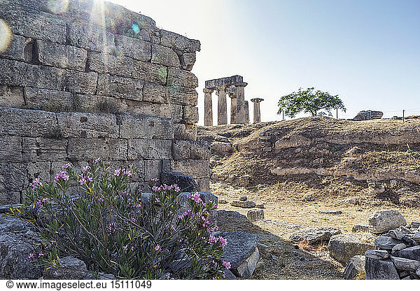 Archäologische Stätte mit archaischem Apollo-Tempel  dorischen Säulen  Korinth  Griechenland