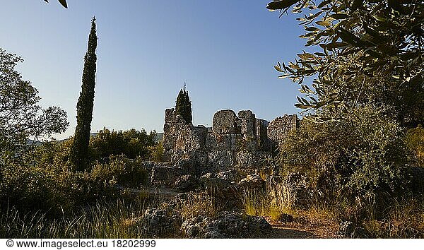 Archaeological site  School of Homer  ruins of buildings  cypress  trees  blue cloudless sky  Ithaca Island  blue cloudless sky  Ionian Islands  Greece  Europe