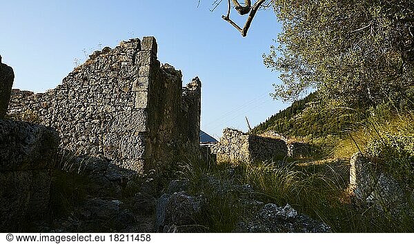 Archaeological site  School of Homer  ruins of buildings  trees  blue cloudless sky  Ithaca Island  blue cloudless sky  Ionian Islands  Greece  Europe