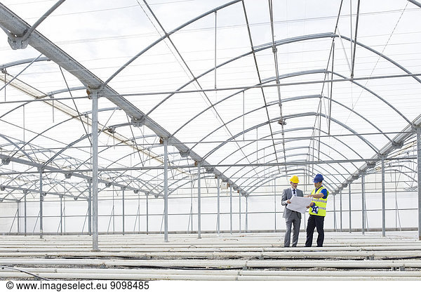 Architect and engineer reviewing blueprint in empty greenhouse
