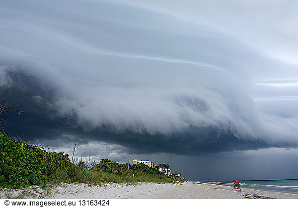 Arcuswolke über Gebäuden und Vegetation am Strand  Satellite Beach  Florida  USA