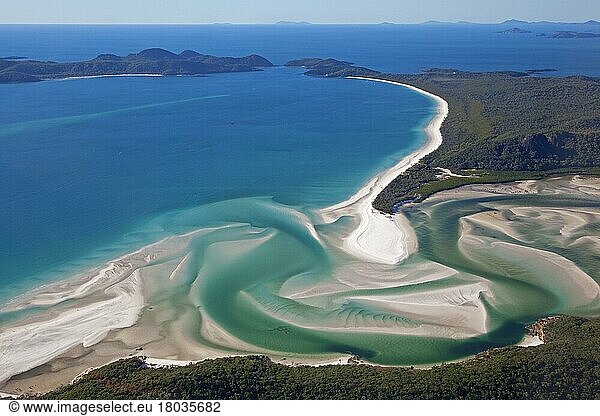 Area view of white sandy beaches and turquoise waters of Whitehaven Beach on Whitsunday Island in the Coral Sea  Queensland  Australia  Oceania