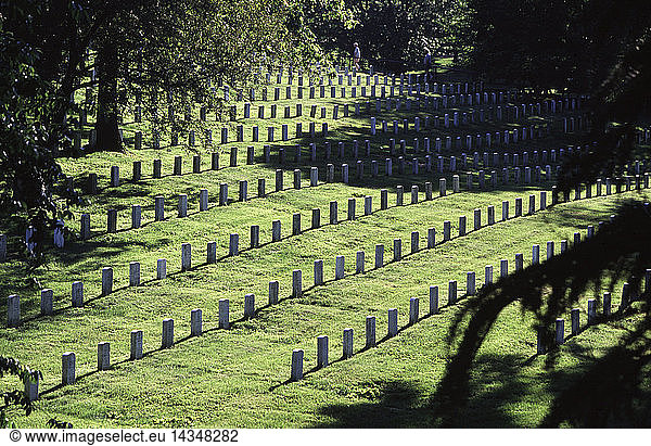 Arlington Cemetery  Washington DC  USA  United States  America  North  America