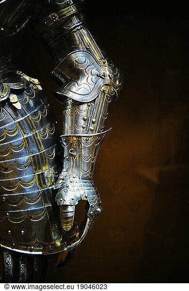 Arm and hip  royal body armor.
