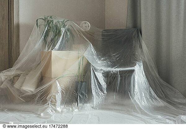 Armchair and cartons with houseplant covered in plastic at new home