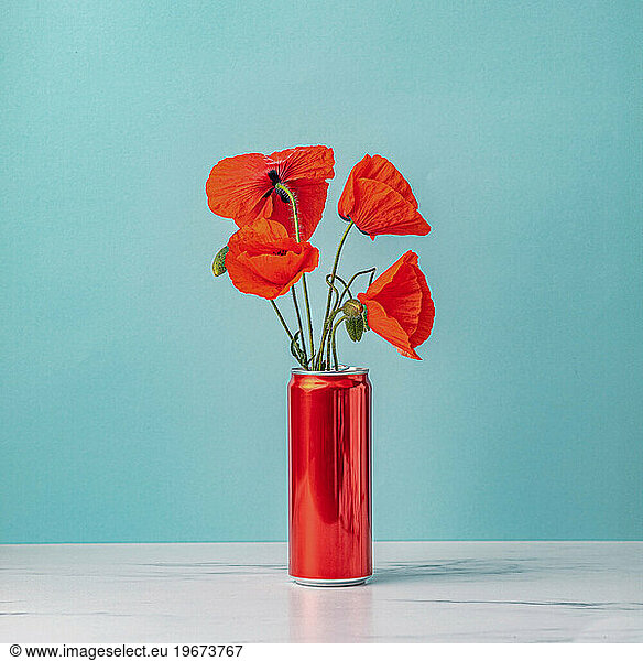 art photography blooming red poppy on red can jar on blue background