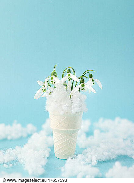 art spring snowdrops in a waffle cone of ice cream poster postcard