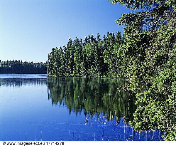 Artist's Choice: Boreal Forest  Glad Lake  Duck Mountain Provincial Park  Manitoba