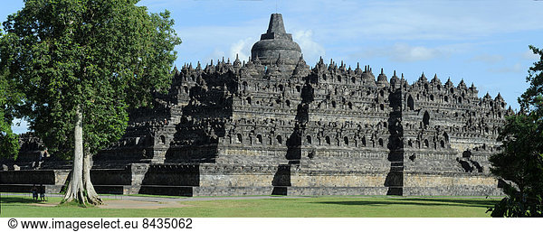 Asia  Indonesia  Java  Borobudur  Buddhism  temple  culture  Stupa  meadow