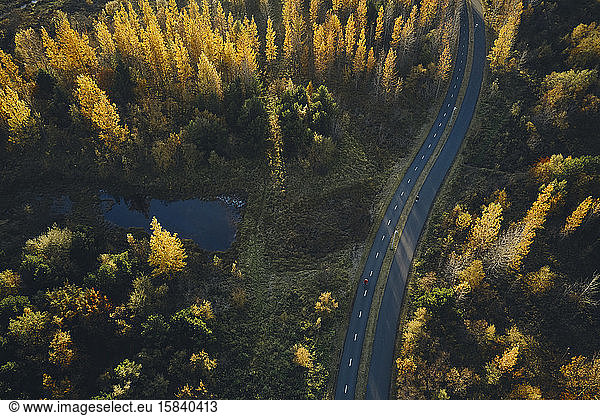 Asphaltstraße durch farbenfrohen Herbstwald