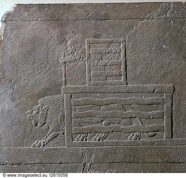 Assyrisches Relief eines Löwen  der zur Jagd aus einem Käfig befreit wird  7. Jahrhundert. Künstler: Unbekannt