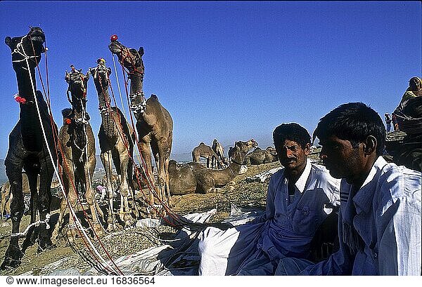 Atmosphäre und Stimmung auf den Camps mit den Besitzern  Camel Mela in Pushkar  Rajasthan  Indien 2004.