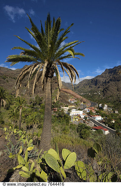 Außenaufnahme Baustelle Europa Tag Wohnhaus Gebäude niemand Architektur Kanaren Kanarische Inseln La Gomera Spanien Valle Gran Rey