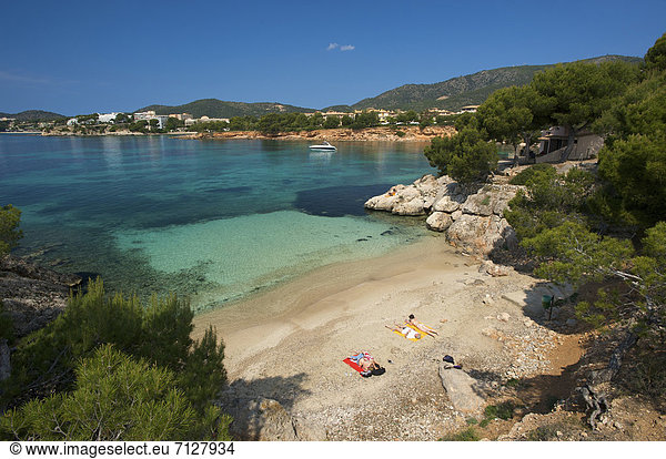 Außenaufnahme  Europa  Tag  europäisch  Strand  Küste  Meer  Insel  Mallorca  Sandstrand  Balearen  Balearische Inseln  freie Natur  Spanien  spanisch