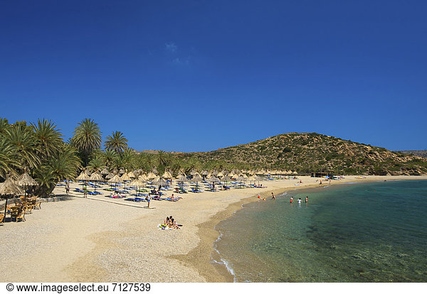 Außenaufnahme Europa Tag europäisch Strand Küste Meer Insel Sandstrand Kreta Griechenland Mittelmeer freie Natur Palmenstrand