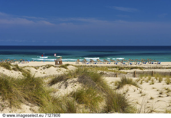 Außenaufnahme Europa Tag europäisch Strand Küste niemand Meer Insel Mallorca Sandstrand Balearen Balearische Inseln freie Natur Spanien spanisch