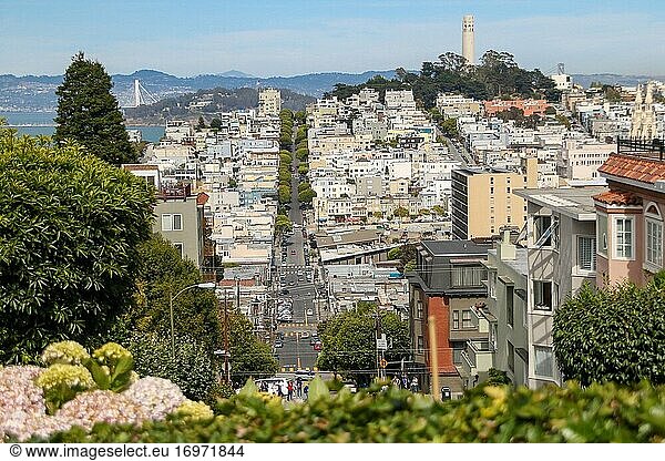 Auf der Lombard  (The Crooked Street)  San Francisco  Kalifornien.