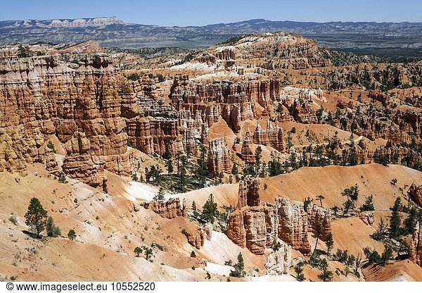 Ausblick am Sunset Point auf farbige Gesteinsformationen Hoodoos Bryce-Amphitheater Bryce-Canyon-Nationalpark Utah USA Nordamerika