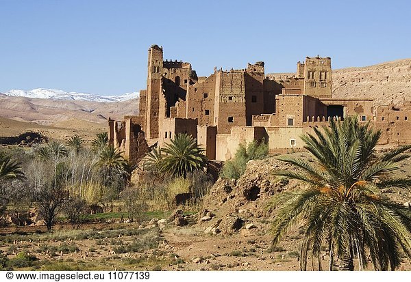 Ausblick auf die Kasbah Tamdaght in der Nähe von Aït-Ben-Haddou  hinten das Atlasgebirge  Südmarokko  Marokko  Afrika