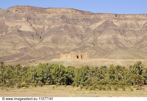 Ausblick auf die Kasbah Tamnougalt mit dem Djebel Kissane Bergrücken dahinter  Draa-Tal  Südmarokko  Marokko  Afrika