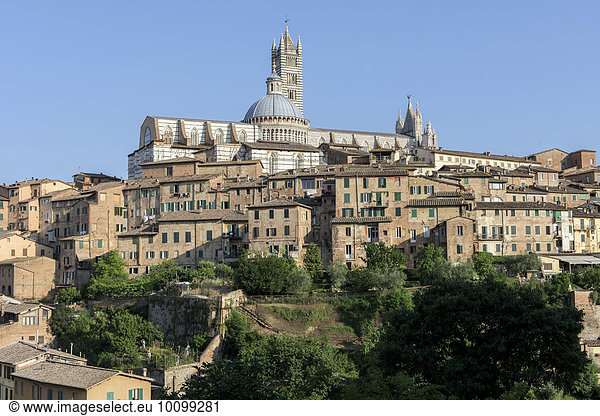 Ausblick auf die Stadt mit Dom  Duomo  Siena  Toskana  Italien  Europa