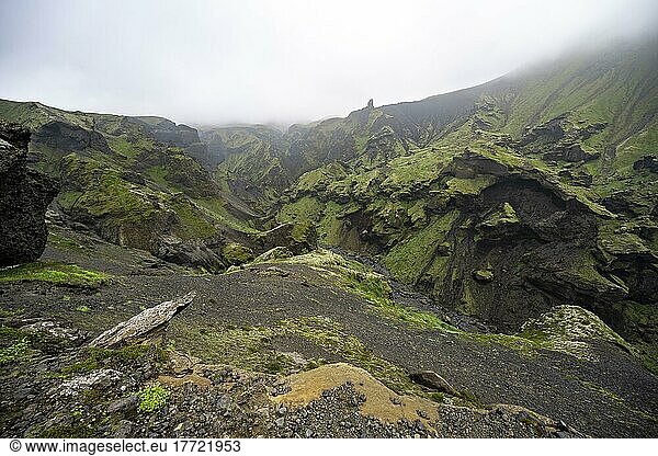 Ausblick in zerklüfteten mit Moos bewachsenen Canyon mit Feslformationen aus Tuffstein  vulkanische Landschaft am Wanderweg Fimmvörðuháls  Þórsmörk Nature Reserve  Suðurland  Island  Europa
