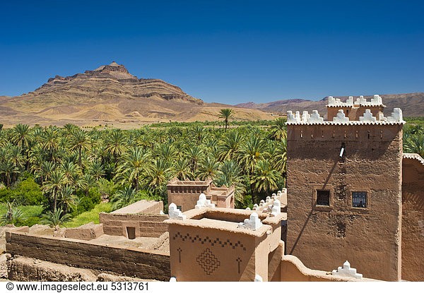 Ausblick vom Dach der Kasbah Qaid Ali  Asslim  auf einen Palmenhain und den Djebel Kissane  Agdz  Draa-Tal  Südmarokko  Marokko  Afrika