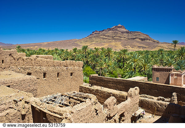 Ausblick vom Dach einer verfallenden Kasbah  Lehmburg  Wohnburg der Berber  Tighremt  auf einen Palmenhain und den Djebel Kissane  Draa-Tal  Südmarokko  Marokko  Afrika