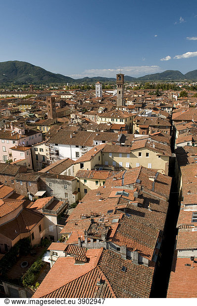 Ausblick vom Torre Guinigi auf die Stadt,  Lucca,  Toskana,  Italien,  Europa