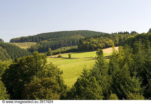 Ausblick von der Fürwiggetalsperre auf den Naturpark Ebbegebirge  Sauerland  Nordrhein-Westfalen  Deutschland  Europa