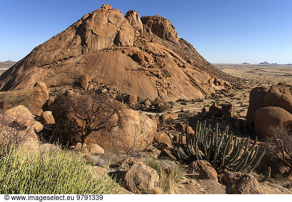 Ausblick von der Großen Spitzkoppe mit typischer Vegetation an der Spitzkoppe Damaraland Namibia Afrika