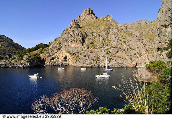 Ausflugsboote am Eingang zur Schlucht Torrent de Pareis  Sa Calobra  Mallorca  Balearen  Spanien  Europa