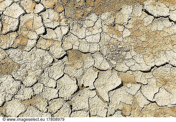 Ausgetrockneter Boden  Trockenrisse nach Überschwemmung  formatfüllend  Dürre  Klimawandel  Andalusien  Spanien  Europa