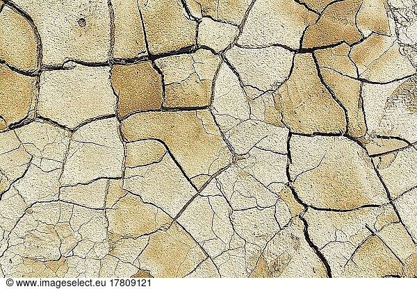 Ausgetrockneter Boden  Trockenrisse nach Überschwemmung  formatfüllend  Dürre  Klimawandel  Andalusien  Spanien  Europa