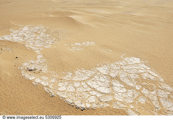 Ausgetrockneter Lehmboden  zwischen Oase Dakhla und Oase Kharga  Libysche Wüste  Sahara  Ägypten  Afrika