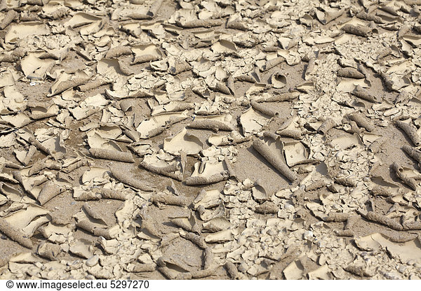 Ausgetrockneter Sandboden