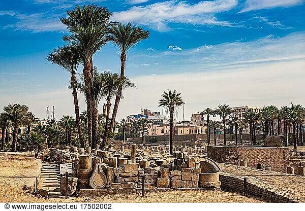 Ausgrabugnen vor Luxor-Tempel  Theben  Ägypten  Luxor  Theben  Ägypten  Afrika