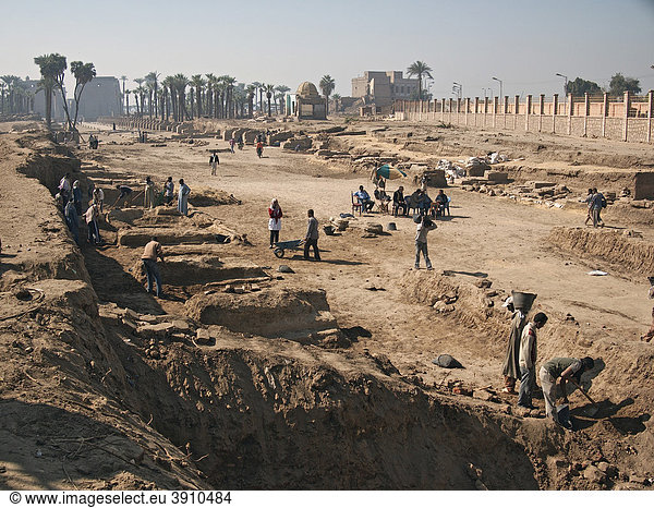 Ausgrabungsfeld am Tempel von Luxor  Ägypten  Afrika