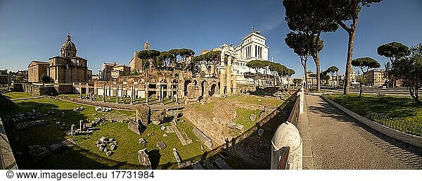Ausgrabungsstätte Forum Romanum  Rom  Latium  Italien  Europa