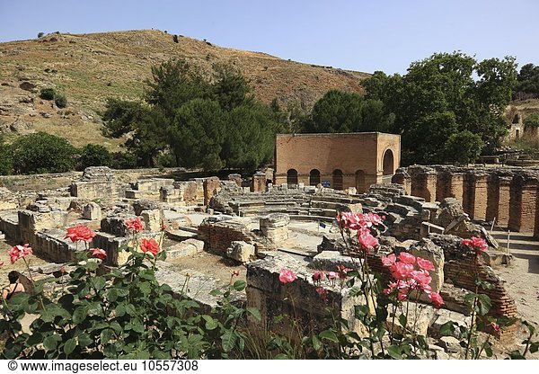 Ausgrabungsstätte Gortyn  Kreta  Griechenland  Europa