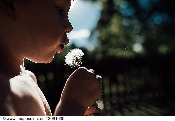 Ausschnitt eines Jungen  der am Strand von Panama City eine Löwenzahnblume bläst