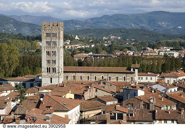 Aussicht von Torre Civica Delle Ore auf die Stadt,  Lucca,  Toskana,  Italien,  Europa