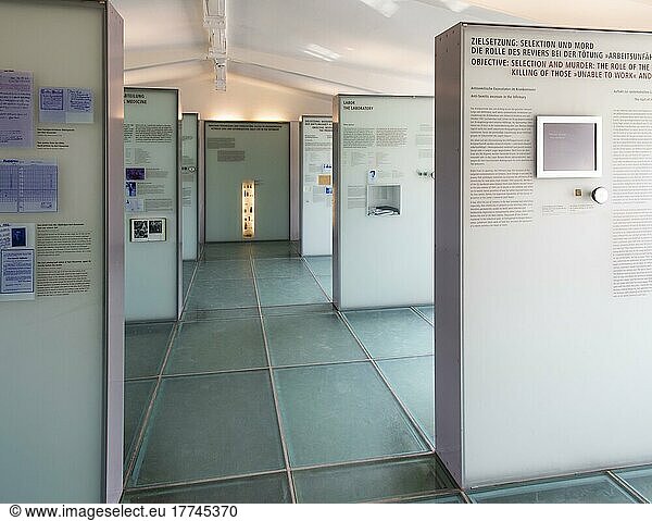 Ausstellung in Baracken der Krankenstation  Gedenkstätte  KZ  Konzentrationslager Sachsenhausen  Oranienburg bei Berlin  Deutschland  Europa