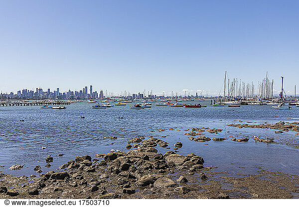 Australia  Melbourne  Victoria  Clear sky over boats floating in Williamstown harbor with city skyline in background