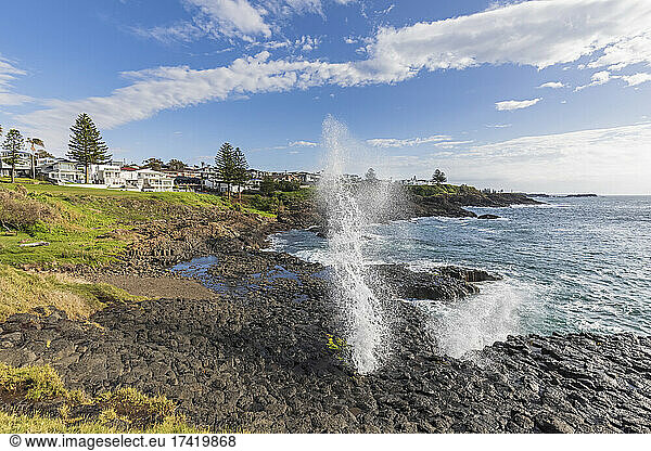 Australia  New South Wales  Kiama  Little Blowhole with coastal town in background